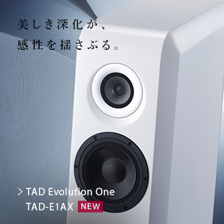 美しき深化が、感性を揺さぶる。TAD Evolution One TAD-E1AX